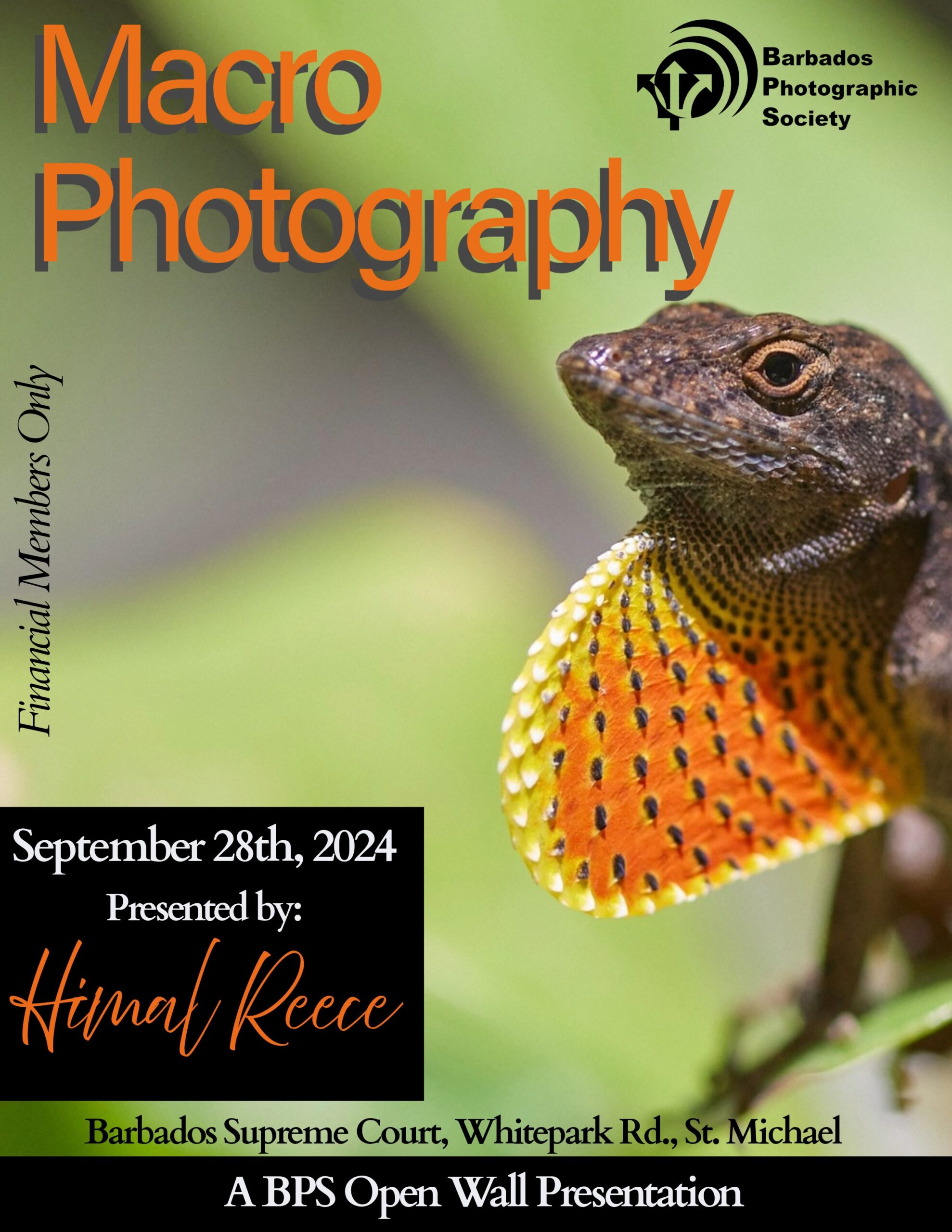 Open Wall Presentation: Macro Photography