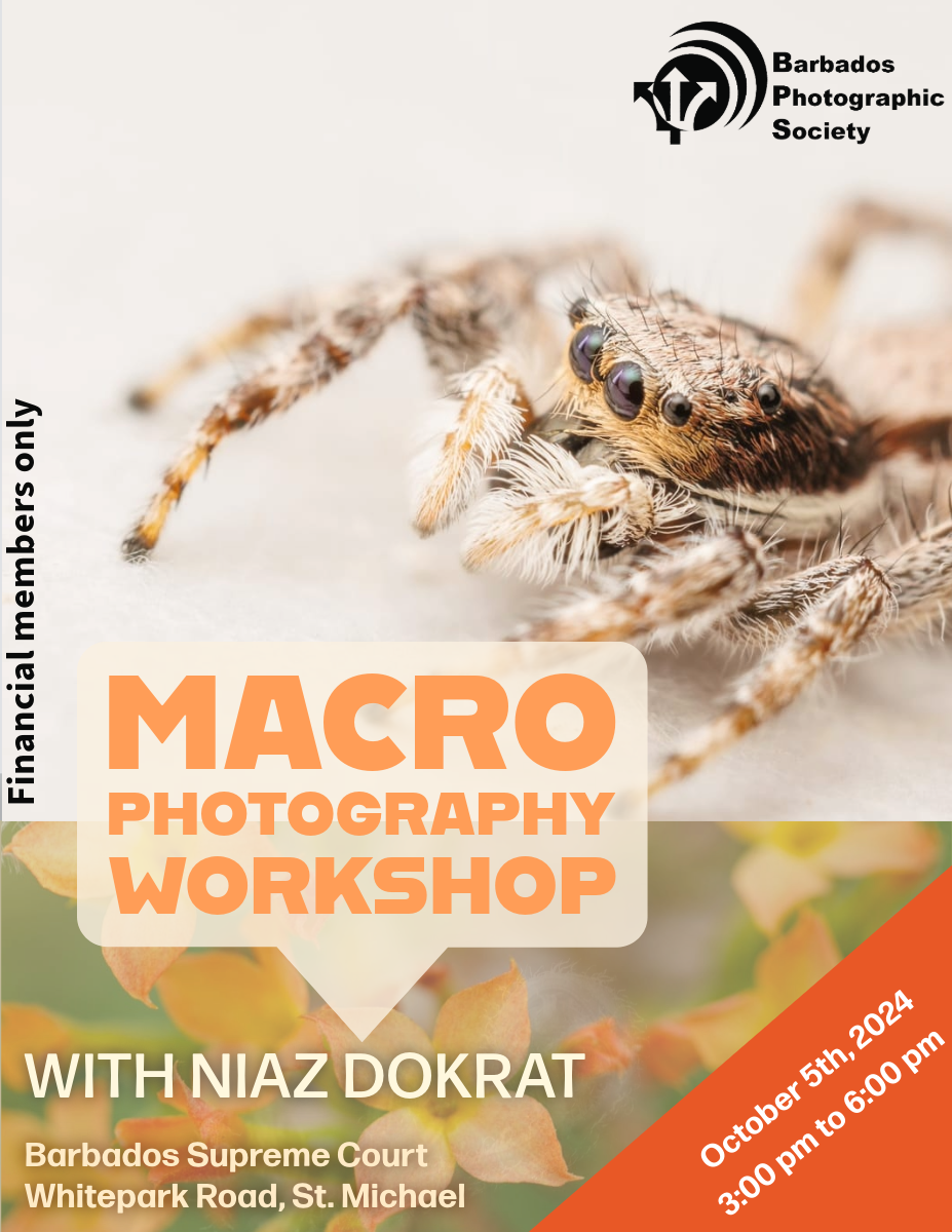 Workshop: Macro Photography
