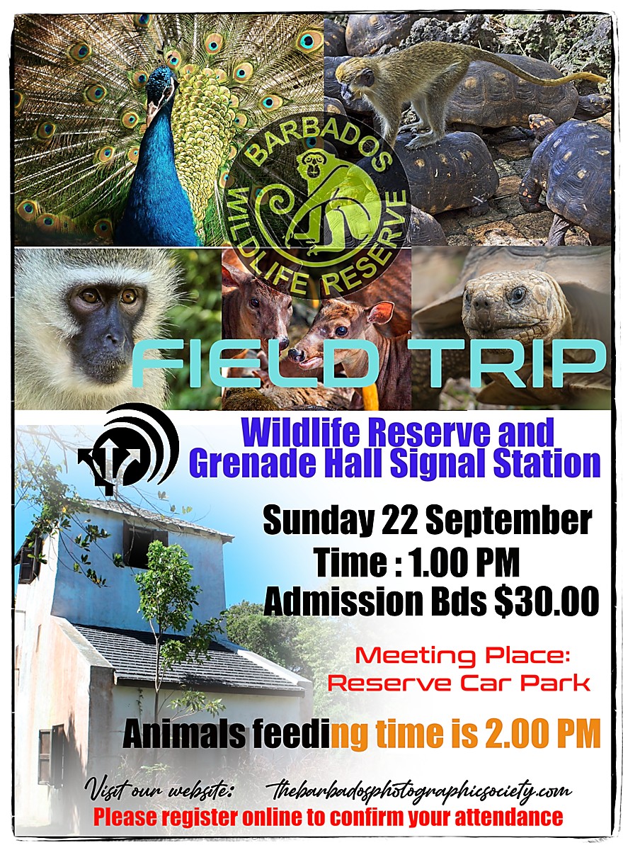 Barbados Wildlife Reserve Field Trip