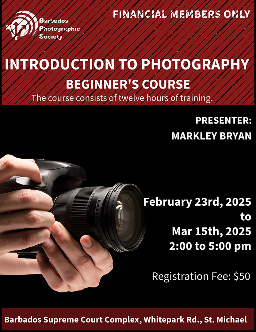 Workshop: Introduction to Photography 2025