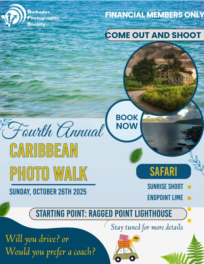 Field Trip: Fourth Annual Caribbean Photo Walk