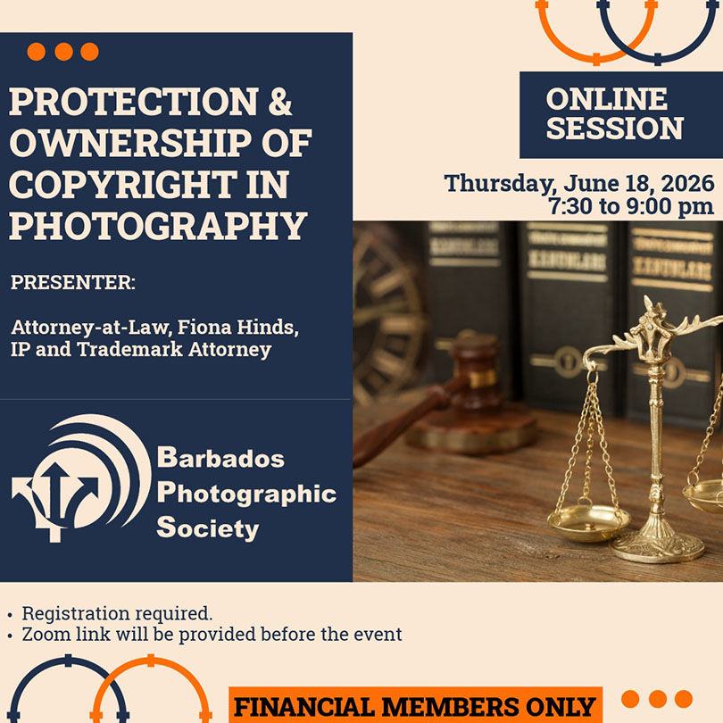 Webinar: Protection & Ownership of Copyright in Photography