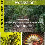 Workshop: Macro Photography