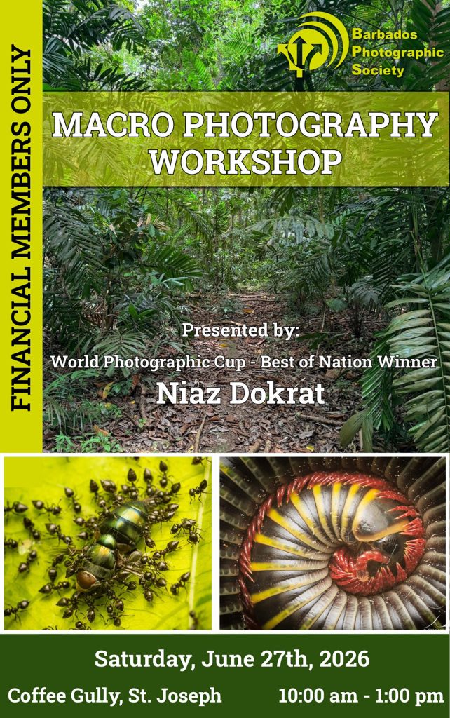 Workshop: Macro Photography